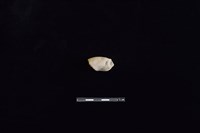 藏品(陶把)的圖片